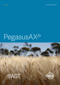 SAVICsNSW PegasusAX 2024 web-1
